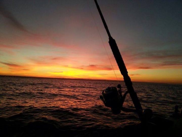 disfruta de lapesca